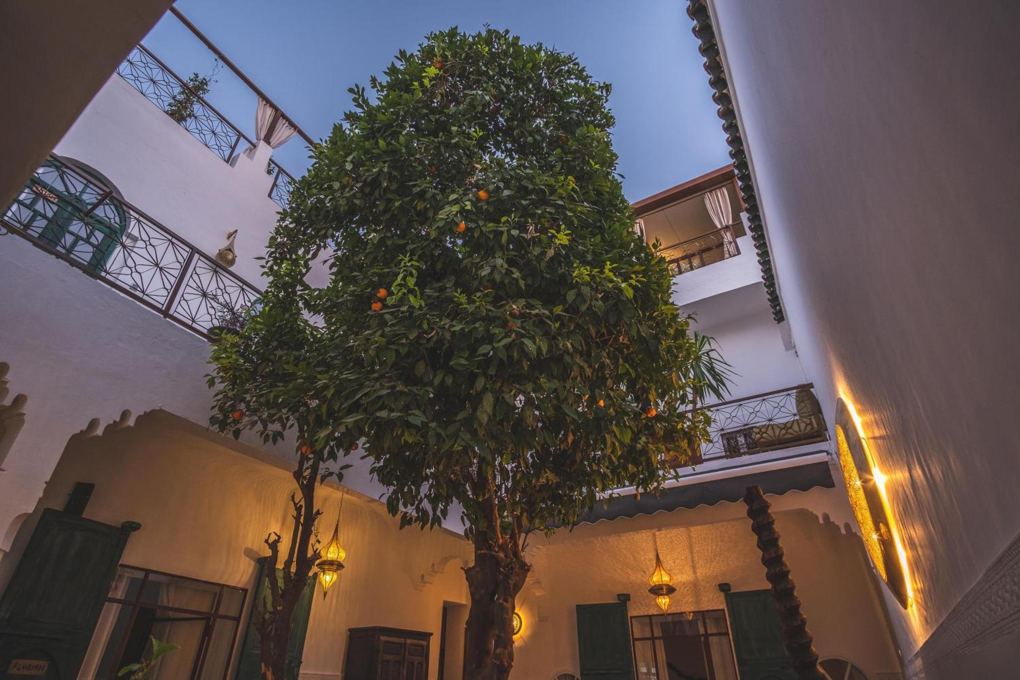 Riad Villa Berna Under Swiss Management 马拉喀什 外观 照片